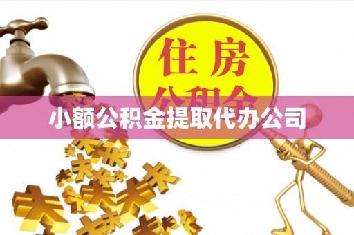 法规小额公积金提取代办公司